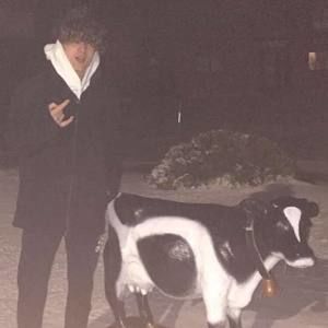 Meet your Posher, Ben